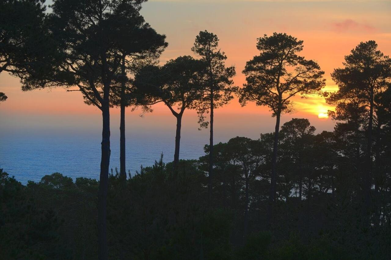 3707 Pacific'S Edge Sanctuary Home Carmel-by-the-Sea Exterior foto