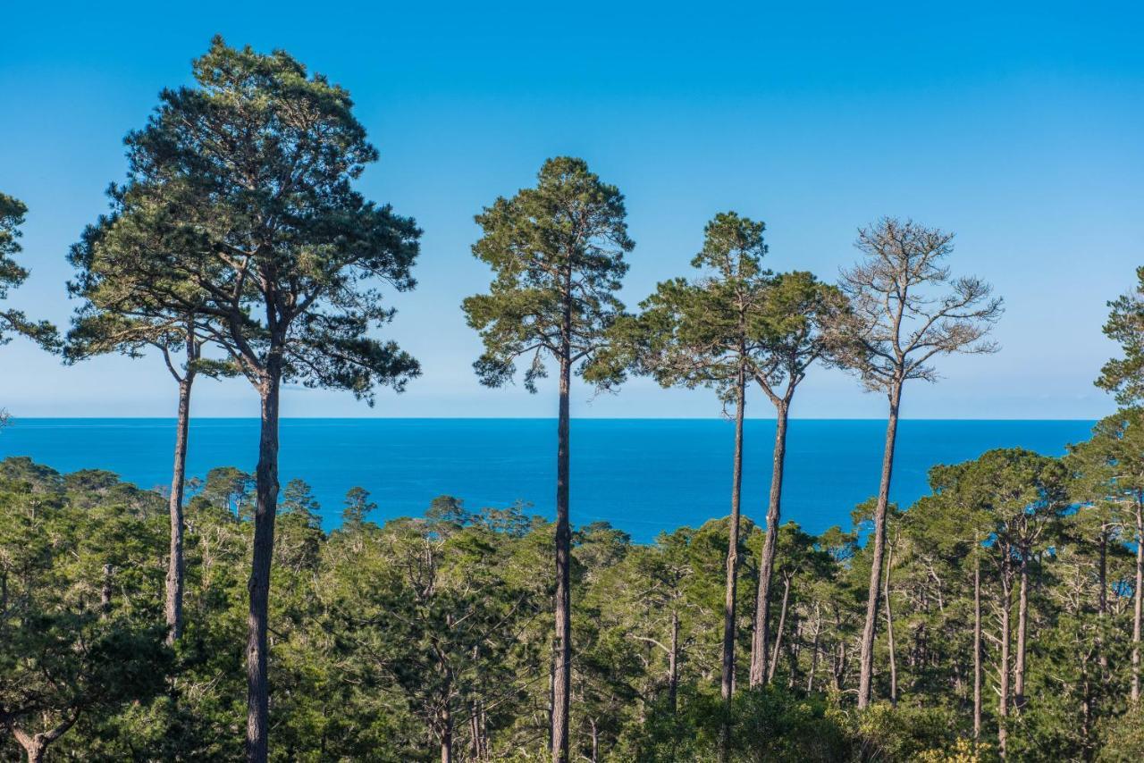 3707 Pacific'S Edge Sanctuary Home Carmel-by-the-Sea Exterior foto